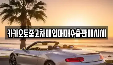 서울특별시 중구 무교동 중고차매입 전문 카카오토중고차매입매매수출판매시세
