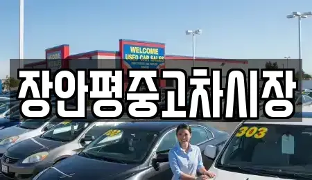 서울특별시 중구 묵정동 중고차매매 전문 장안평중고차시장