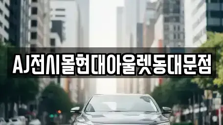 서울특별시 중구 을지로6가 렌트카 전문 AJ전시몰현대아울렛동대문점