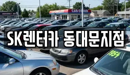 서울특별시 중구 을지로6가 렌트카 전문 SK렌터카 동대문지점