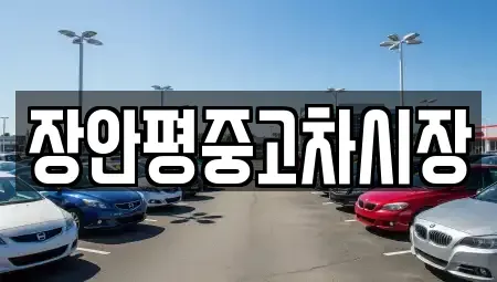 서울특별시 중구 을지로6가 중고차매매 전문 장안평중고차시장