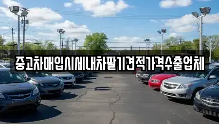 서울특별시 중구 을지로6가 중고차매입 전문 중고차매입시세내차팔기견적가격수출업체
