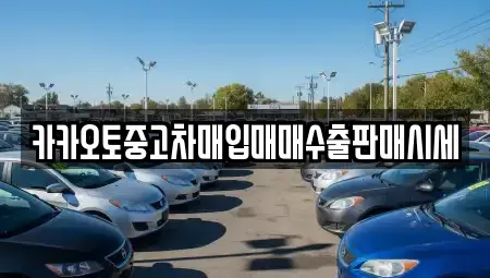 서울특별시 중구 을지로6가 중고차매입 전문 카카오토중고차매입매매수출판매시세