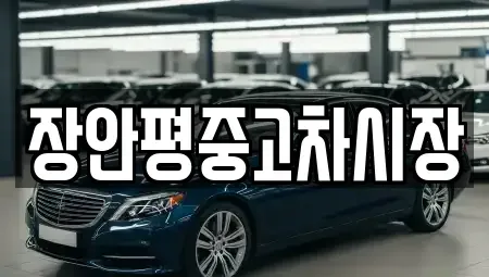 서울특별시 중랑구 묵동 중고차 전문 장안평중고차시장