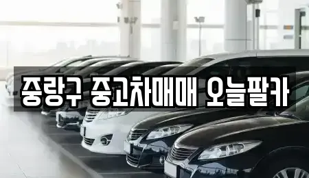 서울특별시 중랑구 묵동 중고차 전문 중랑구 중고차매매 오늘팔카