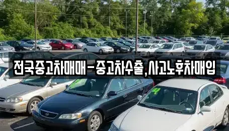 서울특별시 중랑구 묵동 중고차매입 전문 전국중고차매매-중고차수출,사고노후차매입