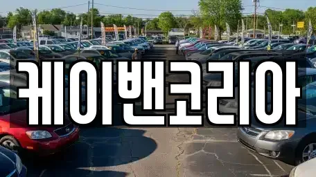 세종 다솜동 렌트카 전문 케이밴코리아