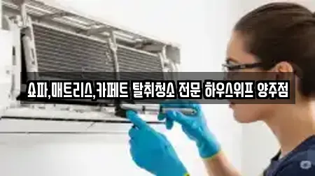 쇼파,매트리스,카페트 탈취청소 전문 하우스위프 양주점