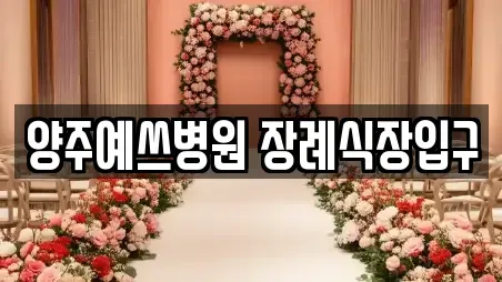 양주예쓰병원 장례식장입구