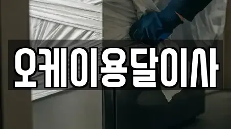 오케이용달이사