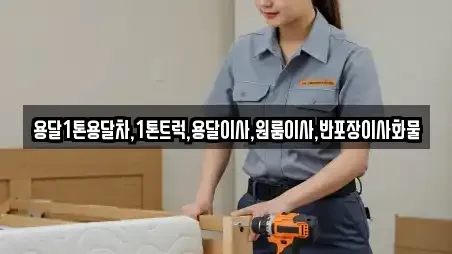 용달1톤용달차,1톤트럭,용달이사,원룸이사,반포장이사화물