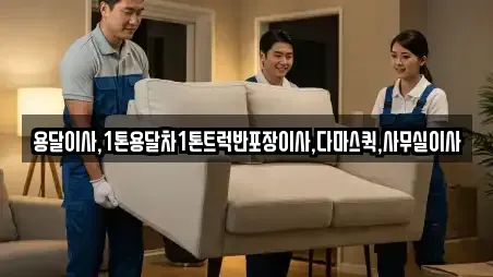 용달이사,1톤용달차1톤트럭반포장이사,다마스퀵,사무실이사