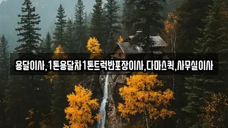 용달이사,1톤용달차1톤트럭반포장이사,다마스퀵,사무실이사