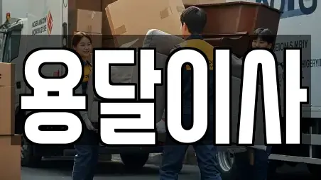용달이사