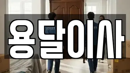 용달이사
