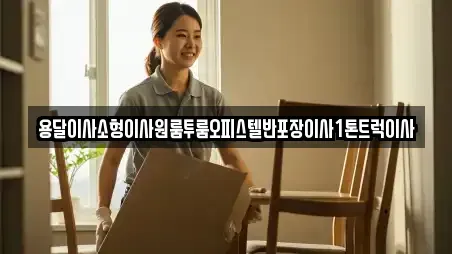 용달이사소형이사원룸투룸오피스텔반포장이사1톤트럭이사