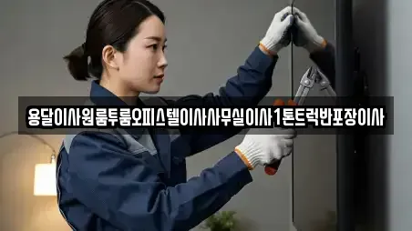 용달이사원룸투룸오피스텔이사사무실이사1톤트럭반포장이사