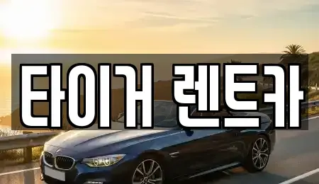 울산 남구 야음동 렌트카 전문 타이거 렌트카