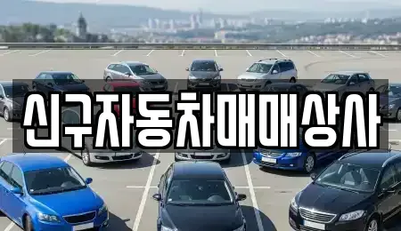 울산 남구 야음동 중고차 전문 신구자동차매매상사