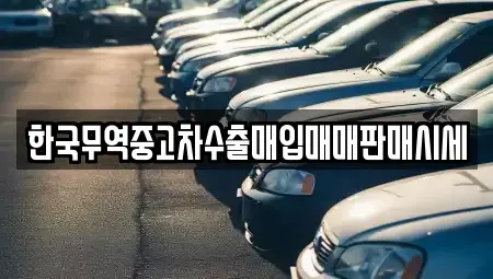 울산 동구 서부동 중고차매입 전문 한국무역중고차수출매입매매판매시세