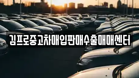울산 동구 전하동 중고차 전문 김프로중고차매입판매수출매매센터