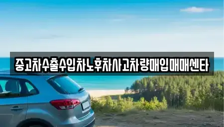울산 동구 전하동 중고차 전문 중고차수출수입차노후차사고차량매입매매센타