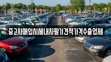 울산 북구 어물동 중고차 전문 중고차매입시세내차팔기견적가격수출업체