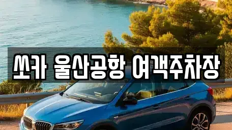 울산 북구 창평동 렌트카 전문 쏘카 울산공항 여객주차장