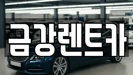 울산 북구 효문동 렌트카 전문 금강렌트카