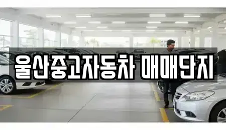 울산 북구 효문동 중고차 전문 울산중고자동차 매매단지