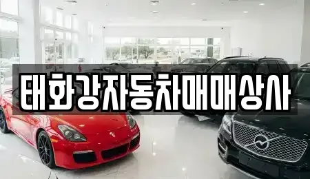 울산 북구 효문동 중고차 전문 태화강자동차매매상사