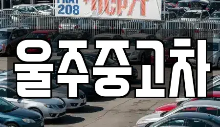 울산 울주군 두동면 중고차매매,단기렌트카,중고차매입,장기렌트카,중고차,렌트카