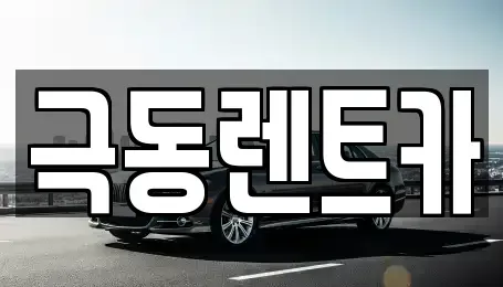 울산광역시 남구 매암동 렌트카 전문 극동렌트카
