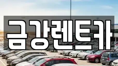 울산광역시 북구 진장동 렌트카 전문 금강렌트카