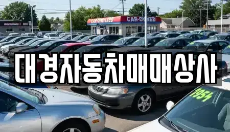 울산광역시 북구 진장동 중고차매매 전문 대경자동차매매상사