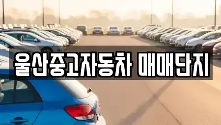 울산광역시 북구 진장동 중고차매매 전문 울산중고자동차 매매단지