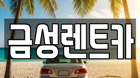 울산광역시 중구 다운동 렌트카 전문 금성렌트카
