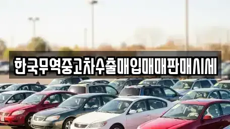 울산광역시 중구 다운동 중고차매매 전문 한국무역중고차수출매입매매판매시세