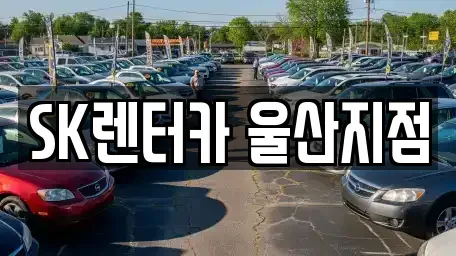 울산광역시 중구 학성동 렌트카 전문 SK렌터카 울산지점