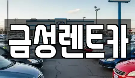 울산광역시 중구 학성동 렌트카 전문 금성렌트카