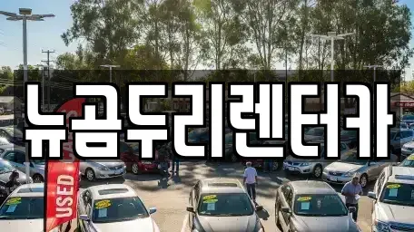 울산광역시 중구 학성동 렌트카 전문 뉴곰두리렌터카