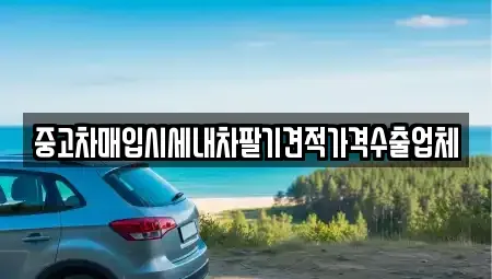 울산광역시 중구 학성동 중고차 전문 중고차매입시세내차팔기견적가격수출업체