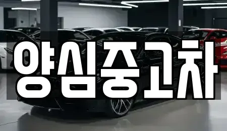 인천 남동구 장수동 중고차 전문 양심중고차