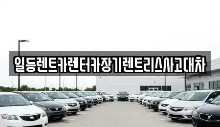 인천 미추홀구 학익동 장기렌트카 전문 일등렌트카렌터카장기렌트리스사고대차