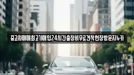 인천 미추홀구 학익동 중고차매매 전문 중고차매매최고가매입24시간출장비무료견적현장방문지누카