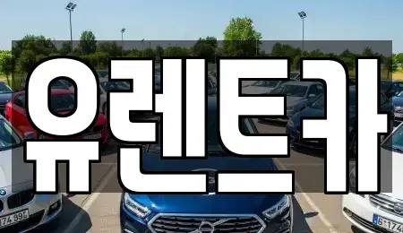 인천 서구 가정동 단기렌트카 전문 유렌트카