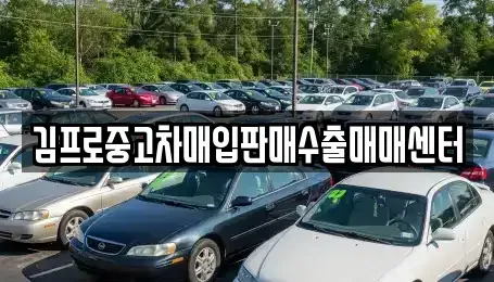 인천 서구 가정동 중고차매매 전문 김프로중고차매입판매수출매매센터