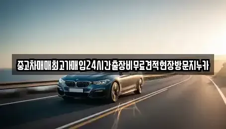 인천 서구 가정동 중고차매매 전문 중고차매매최고가매입24시간출장비무료견적현장방문지누카