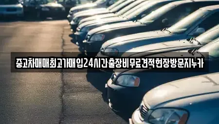 인천 서구 공촌동 중고차매입 전문 중고차매매최고가매입24시간출장비무료견적현장방문지누카