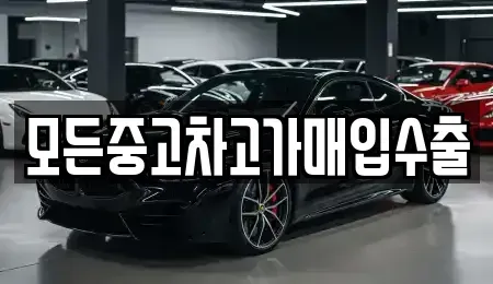 인천 서구 석남동 중고차매입 전문 모든중고차고가매입수출